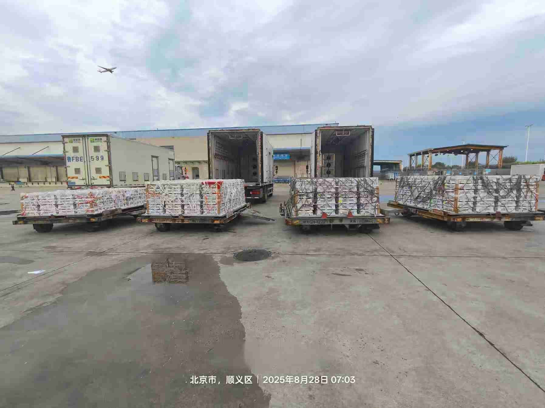 【引种】918博天堂股份年度引种突破16万套，，，，，，，市占率59%稳居行业龙头