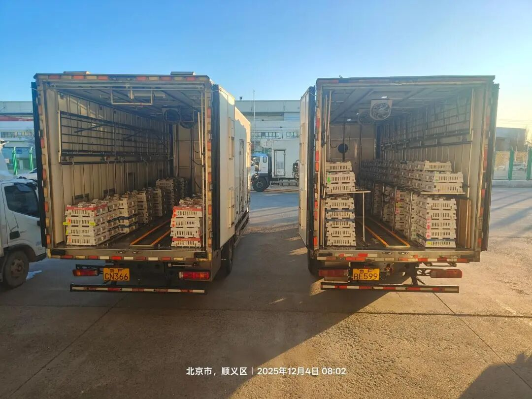 [引种】918博天堂股份再度引进法国种源，，，，，，，龙头职位牢靠包管工业稳固