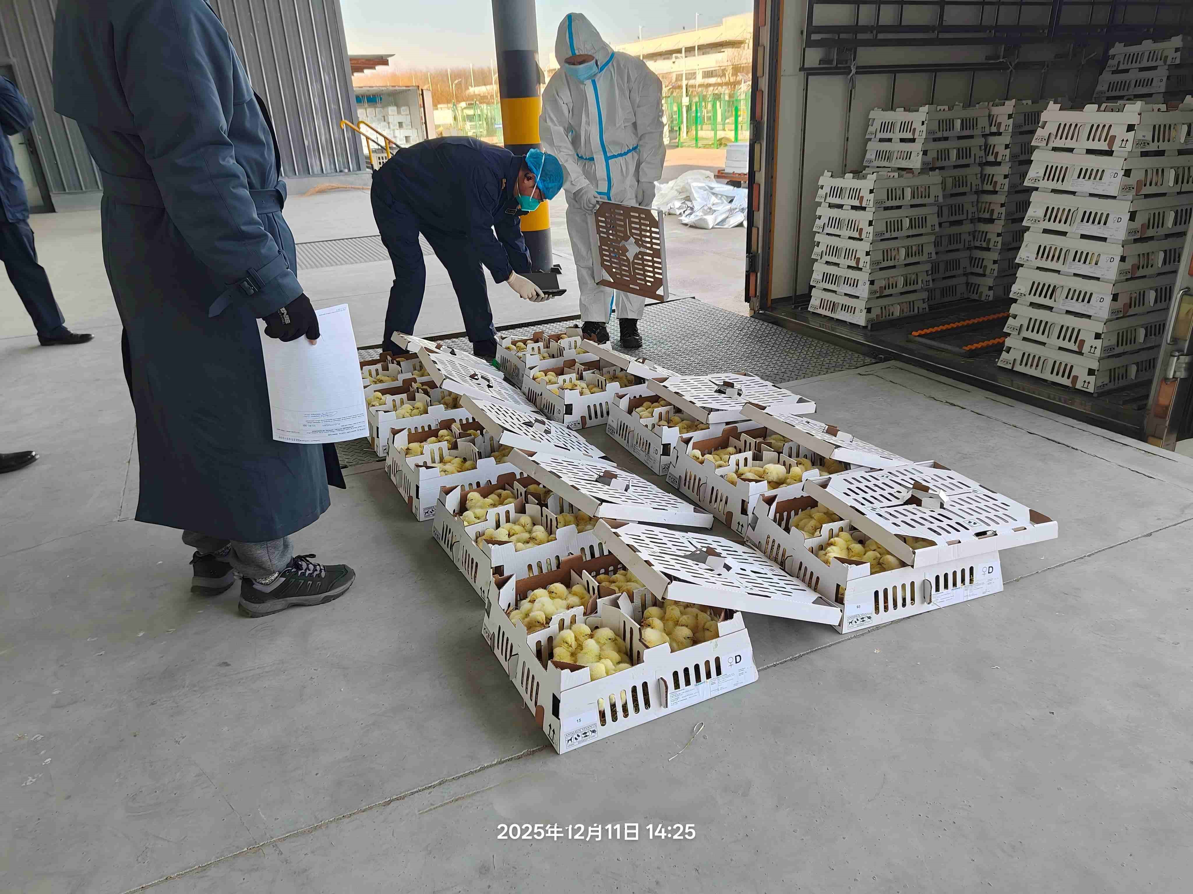 【喜讯】918博天堂股份年度引种圆满收官，，，，，，，累计引种量高达26.6万套